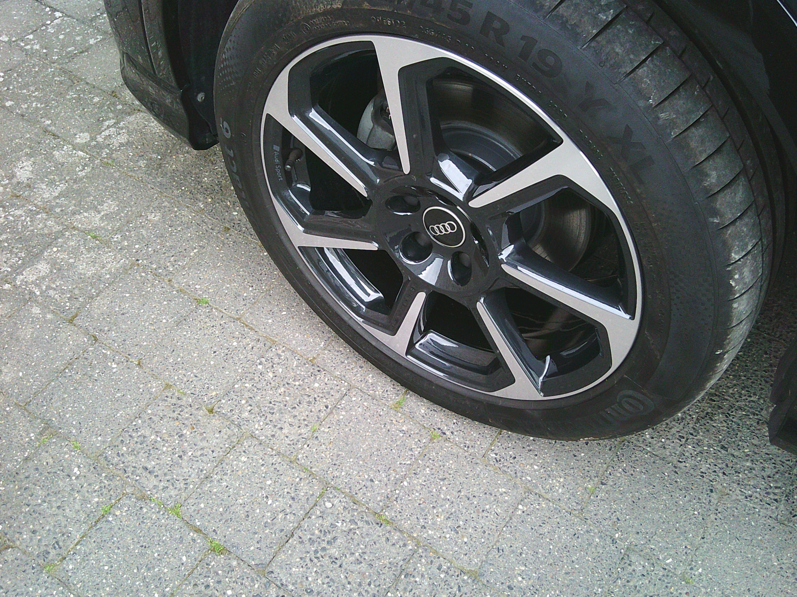 Photo 7